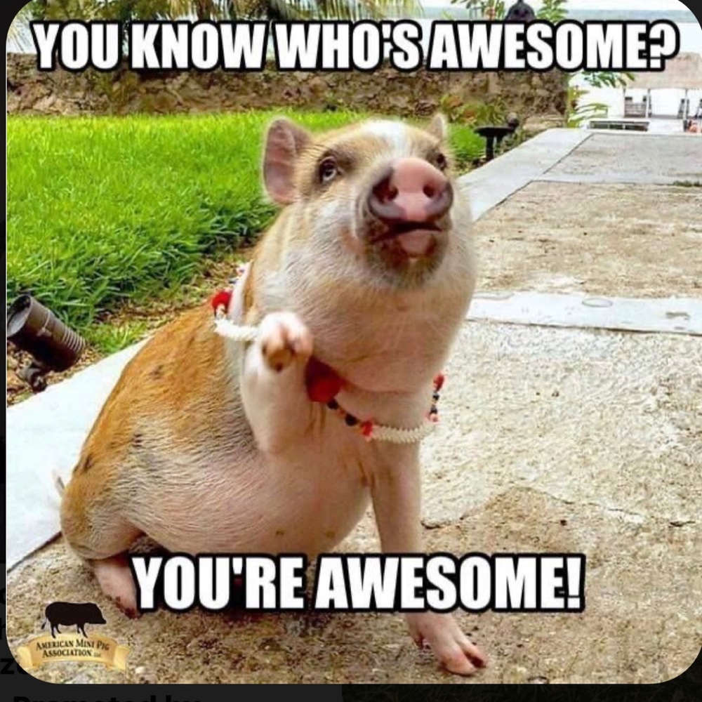 Meet your Posher, Niki rose